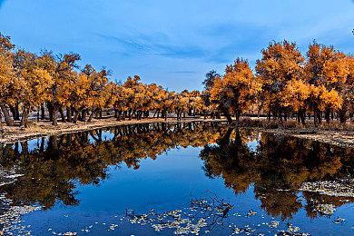 分级信息确认《九龙妖魔学园纪》将登陆PS4